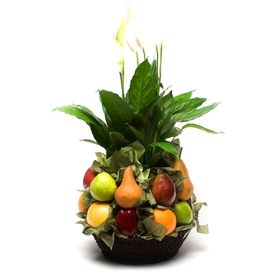 Fruit Baskets - Peaceful Fruit